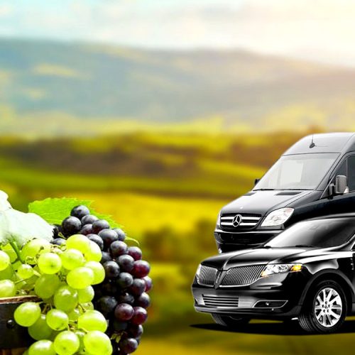 Sprinter Van Wine Tour slider Photo (1)